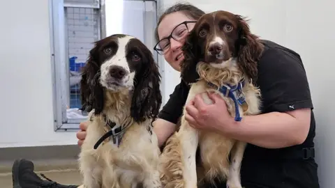 Volunteer Sarah Hayes sits straight legged on the floor with two brown and white spaniels sit on her legs looking at the camera. Darah is wearing a black top and trousers, has dark hair tied back and dark framed glasses and is smiling