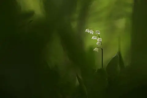 Charles Everitt Overall winning image