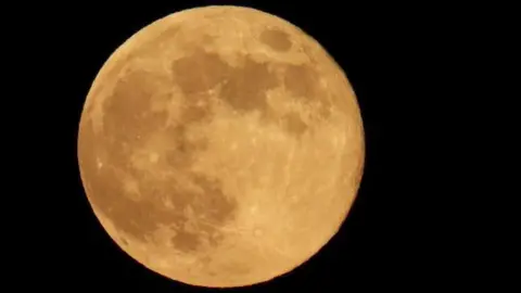 DEREKSDISCO/WEATHER WATCHERS Black sky with a close up of a gold/yellow full moon 