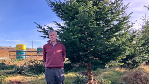 BBC Stephen Reynolds wearing a red sweatshirt and stood beside the Christmas tree which was being grown for Downing Street