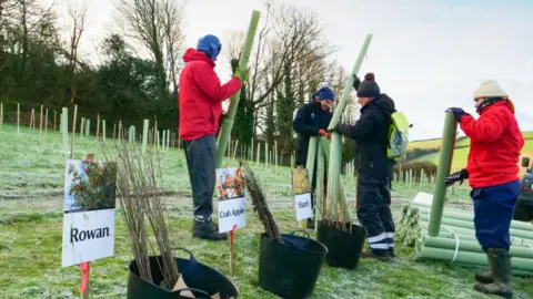 Four people preparing for planting with green tubes on a green field. There are four black buckets with small trees in them, with signs behind them. The first one on the left has the word 'Rowan' on it with a picture of the tree above it. 