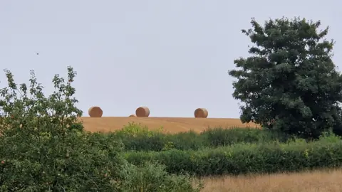 Three bales of hay sit prominently on a field in Tackley under cloudy skies with a hedge in the foreground and a green bush or tree framing them from either side. 