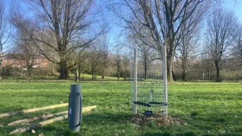 The sapling set up behind a wooden and wire casing for support in the middle of a large green park.