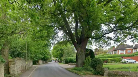 A leafy street shows houses with substantial front gardens and trees and bushes.