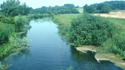 Chris Turnbull A view of a river from a height, taken 20 years ago, on a sunny day. There are reeds and green bushy banks either side. The water is blue.