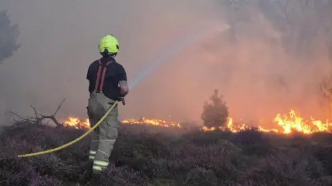 Suffolk Fire and Rescue Service A firefighter is holding a yellow hose which is spraying water at heathland which has caught fire. Grey smoke fills most of the picture.
