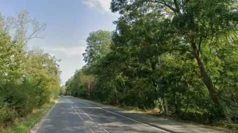 A tree-lined single carriageway road with lampposts and cars in the distance.