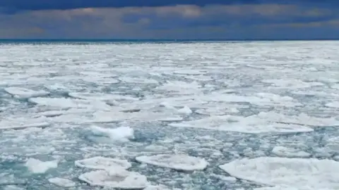 Ice sheets cover lake michigan on a cold, day with a blue sky and a string of clouds in the distance.