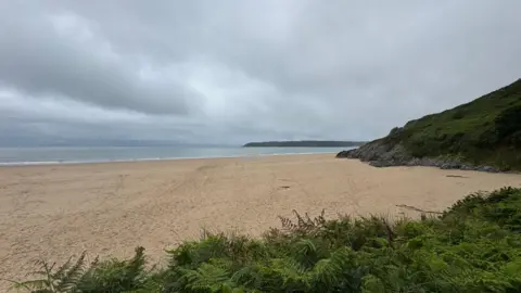 A sandy beach and in the background there is the sea. It is a grey day and in the foreground there is some green shrubbery. 