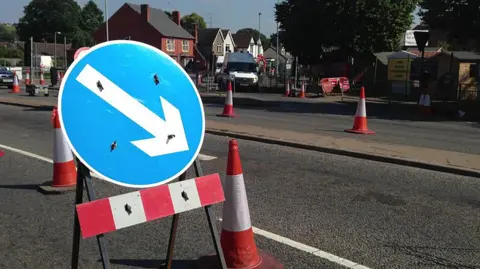 A circular blue road sign with an arrow pointing to the right side is situated on a road, surrounded by red and white cones. In the distance a white van can be seen and houses.