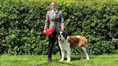 Family A girl wearing a grey suit jacket and holding a red certificate and rosette, stands facing the camera as she holds onto the collar of a St Bernard dog to her left.