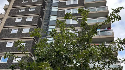 A fruit tree is pictured in front of a block of flats