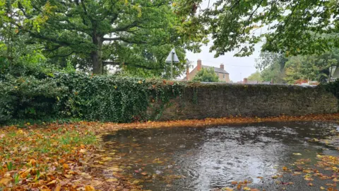 Rebekah A large puddle surrounded by fallen brown leaves. Behind there is a stone wall with ivy growing on it. On the other side of the wall is a large tree with green leaves and in the distance is a brick house with chimneys. The sky overhead is grey and you can see it is raining.