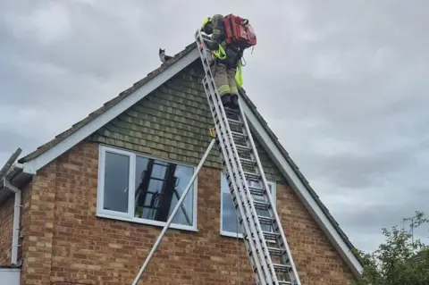 Maldon Fire Station A firefighter in thick brown and yellow uniform, with a red backpack, scales the top of a ladder at the top of a house. The black and white cat sits on the roof.
