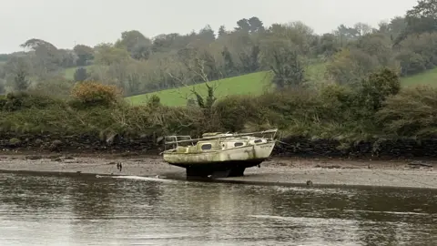 A small yacht without a mast with a large amount of green fungus growing on its hull on a mudflat with a grassy and wooded valley behind.