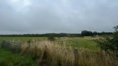 LDRS Green fields separated by wire fences. In the foreground is long brush and in the distance is woodland.