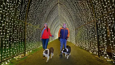A couple walking their dogs walking in a trail lit up by Christmas lights.