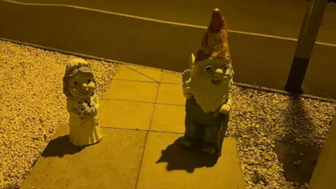 Helen Stark Image of a bride gnome and a gnome with glasses and a beard standing on a doorstep at night.