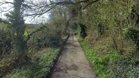 A footpath leading through trees next to a field.