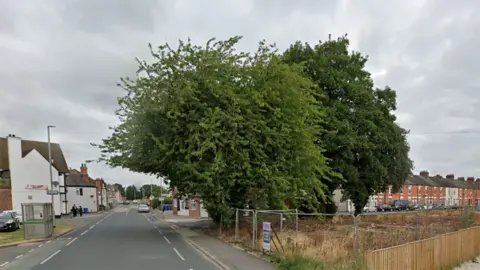 The tree in full bloom standing on derelict land in Goole 