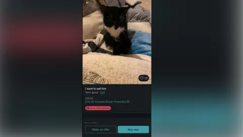 Left Paw Cat Rescue A small black cat listed for sale on Vinted. A picture of the cat is at the top sitting on a beige sofa, under the picture is the text, which says "I want to sell him" and "£30", "make an offer" and "buy now". 