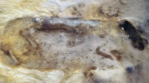 Oxford Cotswold Archaeology A shadow skeleton of a horse emerging from the ground. It is resting on its side with its head to the right and its haunches and back legs on the left. 