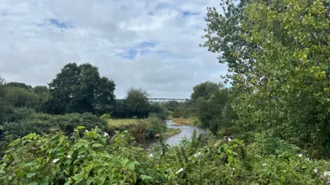 Looking out over greenery towards the Otter River and Coleridge Bridge in the distance