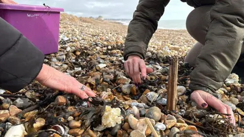 Two volunteers are kneeling on the beach, sifting through the shingle with their hands, looking for debris. The close-up photograph shows their hands and coat sleeves and there is a purple box next to them to hold the rubbish.