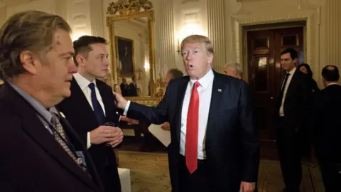 Getty Images Elon Musk met with Donald Trump and Steve Bannon back in 2017