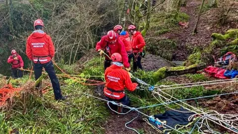 LMRT A grass/moss covered forest area in daylight with six members of the LMRT wearing red jackets with "Mountain Rescue" written on the back and red helmets. Five members are rigging up ropes and carabiners and one member is attached to a rope, making their way into the gorge where the dog is.