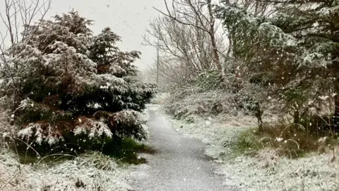 BBC Weather Watchers / Tattie-Bogle A narrow path lined with snow-covered trees and bushes, with snowflakes falling in the scene.