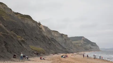 People enjoying the seaside searching for fossils on the beach at Charmouth, Dorset, England, United Kingdom. 
