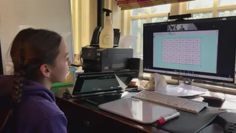 A picture of Ava, who has brown hair and is wearing a purple hoodie, sitting at a desk looking at a computer screen with numbers on it. There is a pen and a whiteboard on the desk.