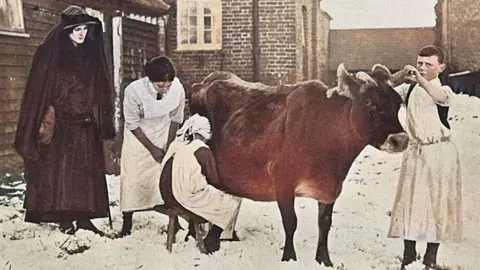 Alamy Lady Petre in black is looking on as three young people help milk a cow. There is snow on the ground.