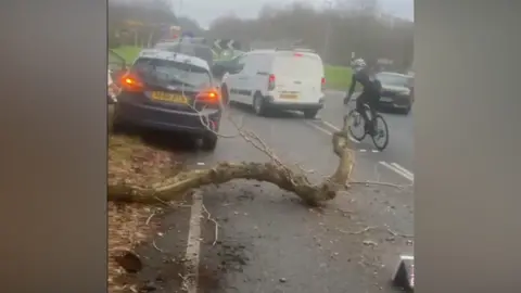 Louisa Judge A photo of a road where a large tree branch is lying across one side. A car with its hazard lights on can be seen ahead of it. Ahead of that is a roundabout that other vehicles are using. 