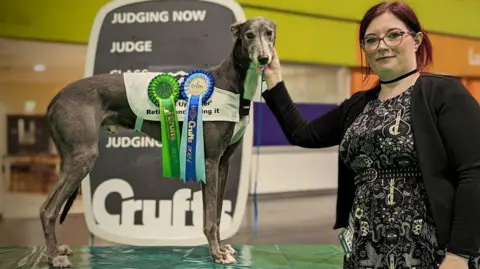 Portia Keates A grey greyhound stands on a podium, with green and blue Crufts rosettes pinned to a small jacket. Portia, a young woman with red hair, glasses, and wearing a black and white patterned dress and a black cardigan, stands beside him.