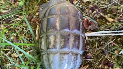 Grenade lying on grass
