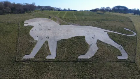 An aerial view of the large white chalk lion which is cut into a green hillside. At the top of the hill trees can be seen and a small building. On the chalk lion, the dots of people can be seen, but they are very small because the picture is taken from a drone high in sky.