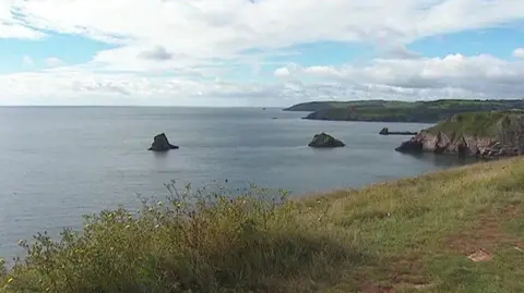 A picture of the area off the coast of Brixham, near to Berry Head. It is a grassland area surrounded by water.