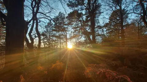 Sunseeker/BBC Weather Watchers Elgin