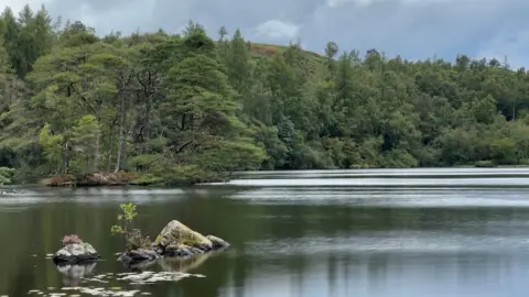 The tarn at High Dam. There are some rocks in the foreground jutting out of the water and a row of thick trees on the bank beyond.
