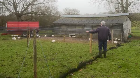 Farmer Jeff Cracknell stnding in a field beside a outhouse with a corrugated metal roof. He is leaning over and touching one of his nets, where chickens are roaming inside. It is a damp and misty day and the field is surrounded by trees.