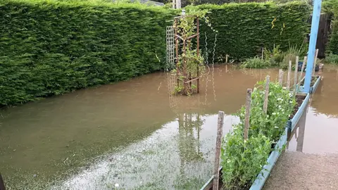 Paul Cawthorne A garden covered by flood water surrounded by a high hedge. A climbing plant stands in the centre, with blue planters to the right