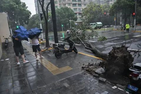 Getty Images Pedestrians walk past a downed tree on the pavement as they struggle with their umbrellas in strong winds and rain from the passage of Typhoon Bebinca.