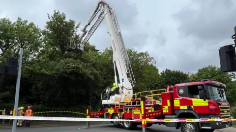 A fire engine with an aerial reaching up to a tree canopy