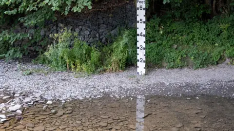 Mike Kemp/Getty Images A measuring stick in feet sits in a river, the water level is so level it does not reach 1. The ground is small rocks and there is foliage in the background