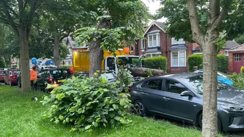 BBC Council workers clear the fallen tree