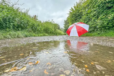 StormChaserLiam/BBC Weather Watchers Rainy scene in Ceres, Fife