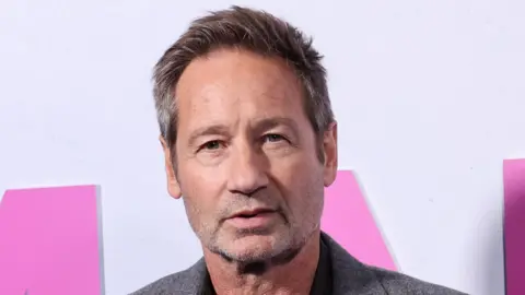 Getty Images David Duchovny pictured at the premiere for a new show