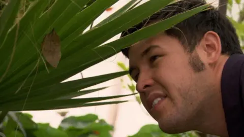 BBC Studios James Wong looking closely at a plant 